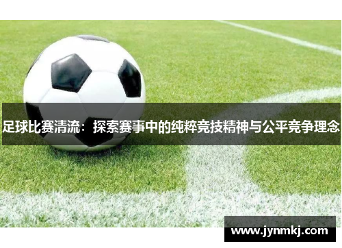足球比赛清流：探索赛事中的纯粹竞技精神与公平竞争理念