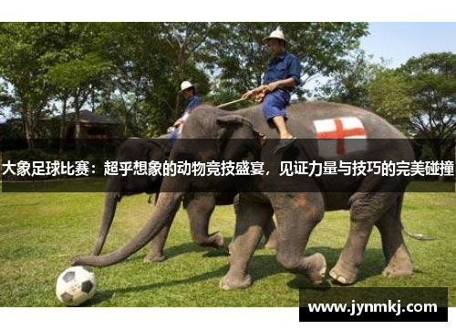 大象足球比赛：超乎想象的动物竞技盛宴，见证力量与技巧的完美碰撞